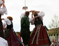 Maibaum 2012